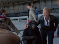 В постели с Викторией (2016)
