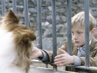 Лэсси (2005)