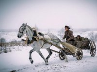 Отчий берег (2017)