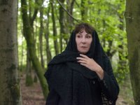 Лесной наблюдатель (2017)