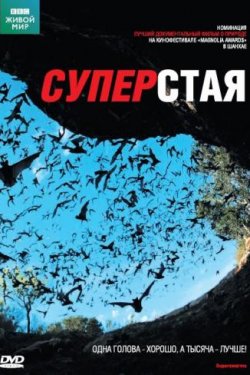 Смотреть BBC: Суперстая (2009) онлайн