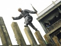 Бесстрашный (2006)