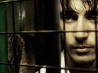 Три обезьяны (2008)