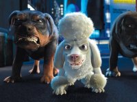Большое путешествие (2006)