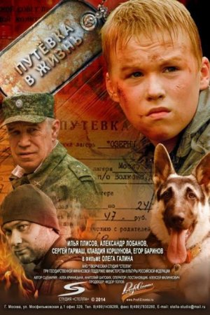 Смотреть Путевка в жизнь (2013) онлайн