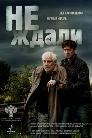 Не ждали (2018, сериал)