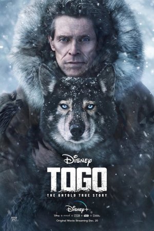 Смотреть Того (2019) онлайн