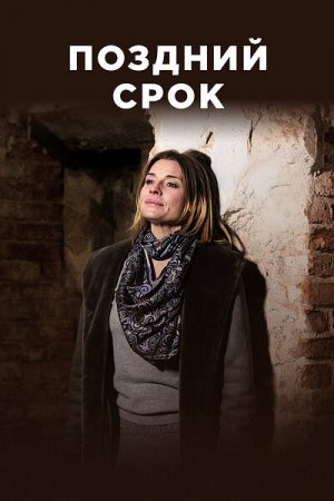 Поздний срок (2020, сериал)