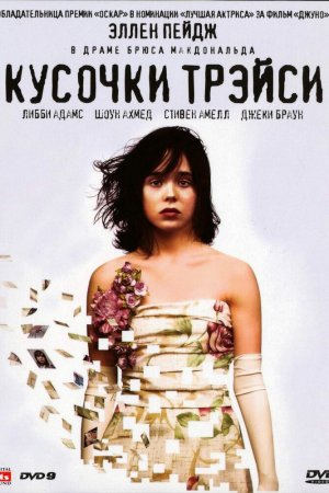 Смотреть Кусочки Трэйси (2007) онлайн