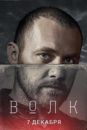 Смотреть Волк (2020, сериал) онлайн