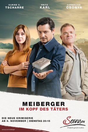 Майбергер. В голове преступника. (2018, сериал)