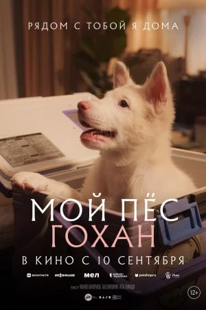 Мой пёс Гохан (2026)